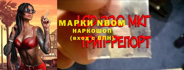 ГАЛЛЮЦИНОГЕННЫЕ ГРИБЫ Ветлуга