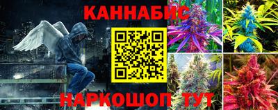 каннабис Будённовск