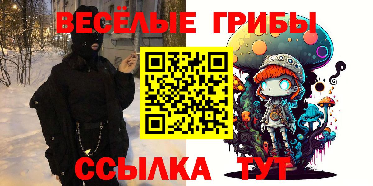 Галлюциногенные грибы Cubensis  Вход с VPN  Клинцы 