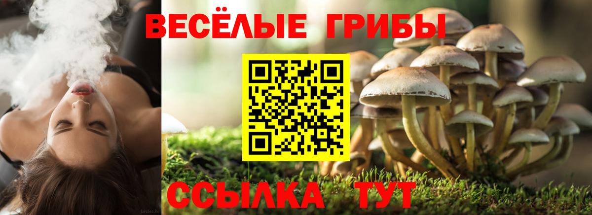 Галлюциногенные грибы ЛСД Клинцы